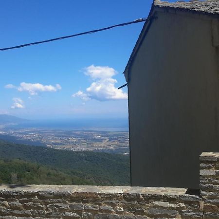 Gite La Fontaine Corse Loreto-di-Casinca Εξωτερικό φωτογραφία