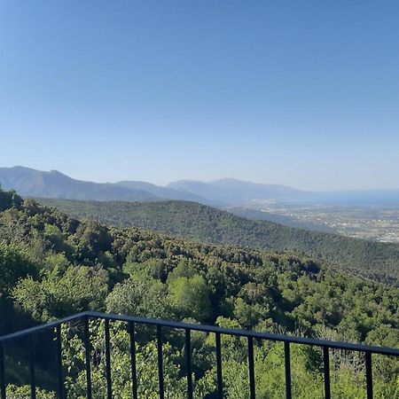 Gite La Fontaine Corse Loreto-di-Casinca Δωμάτιο φωτογραφία