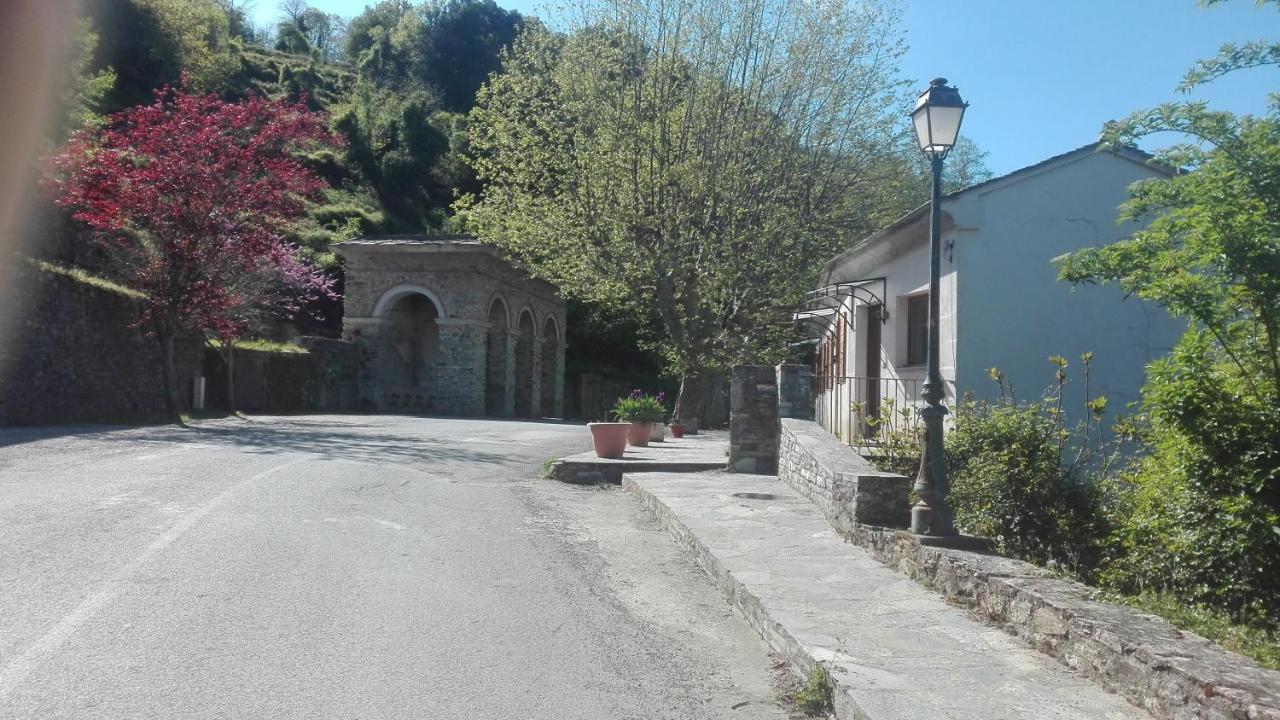 Gite La Fontaine Corse Loreto-di-Casinca Εξωτερικό φωτογραφία
