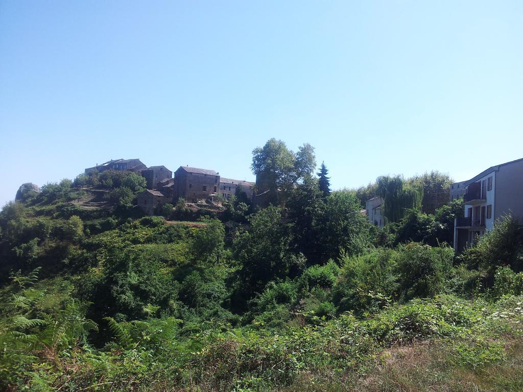 Gite La Fontaine Corse Loreto-di-Casinca Δωμάτιο φωτογραφία
