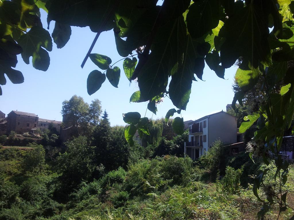 Gite La Fontaine Corse Loreto-di-Casinca Εξωτερικό φωτογραφία