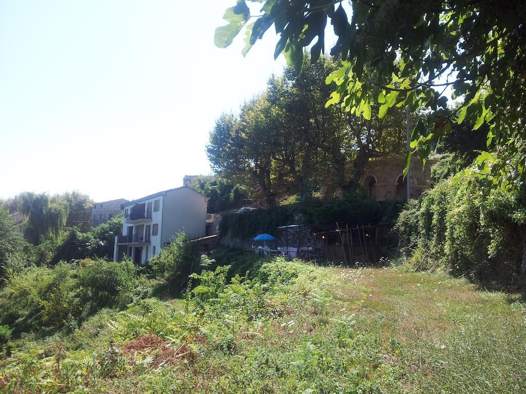 Gite La Fontaine Corse Loreto-di-Casinca Εξωτερικό φωτογραφία