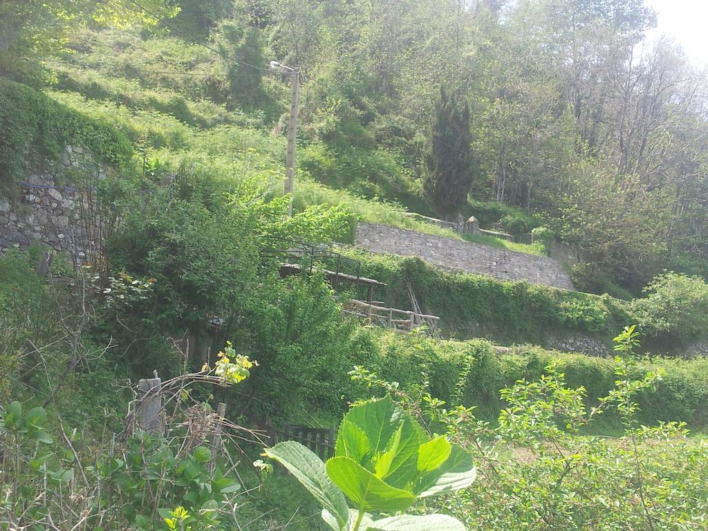 Gite La Fontaine Corse Loreto-di-Casinca Δωμάτιο φωτογραφία
