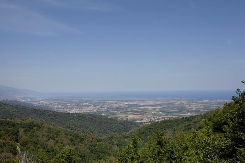 Gite La Fontaine Corse Loreto-di-Casinca Δωμάτιο φωτογραφία