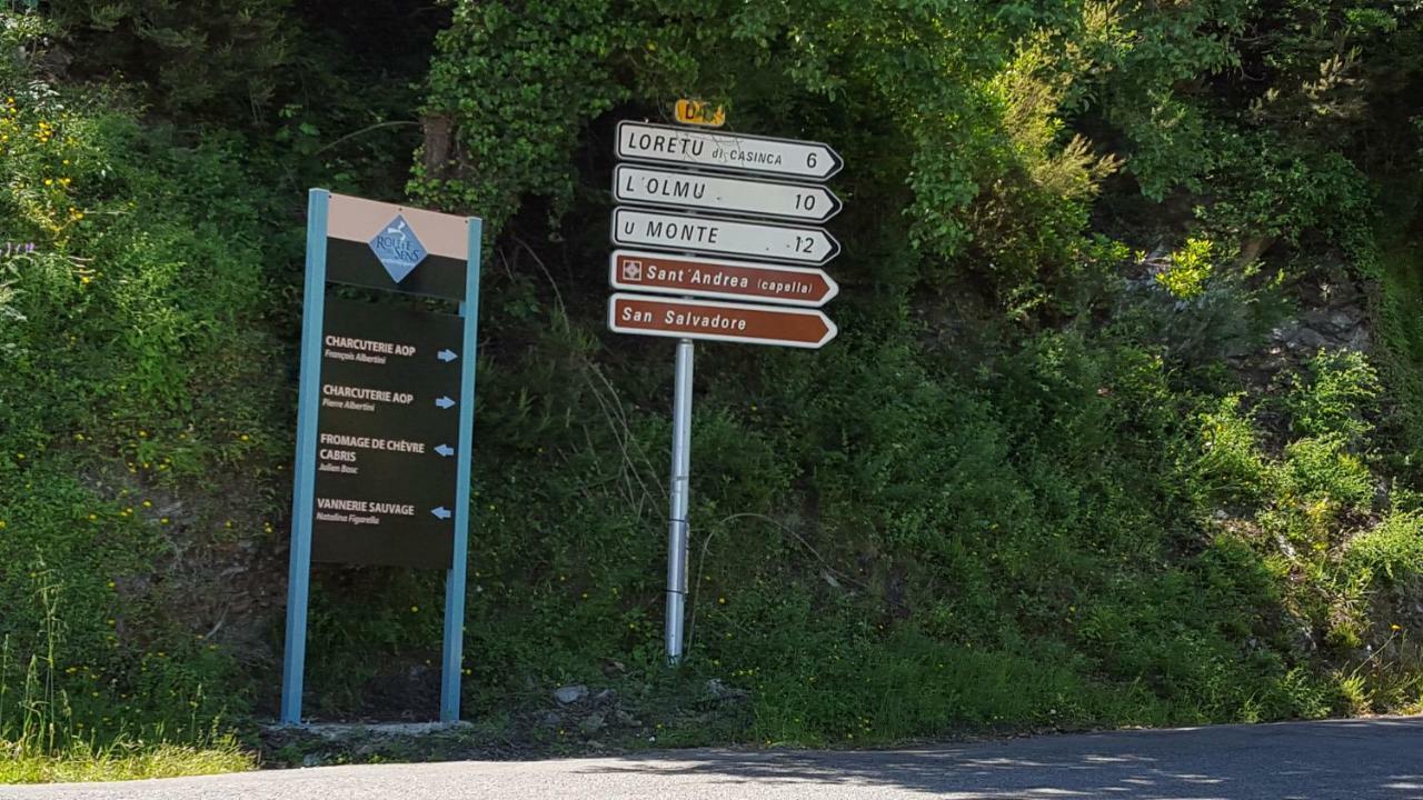Gite La Fontaine Corse Loreto-di-Casinca Εξωτερικό φωτογραφία
