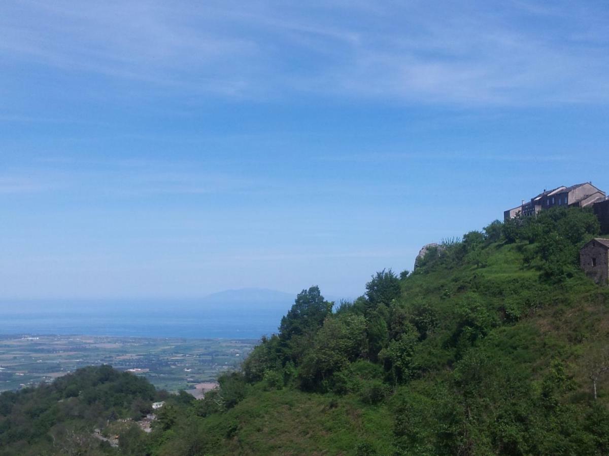 Gite La Fontaine Corse Loreto-di-Casinca Εξωτερικό φωτογραφία